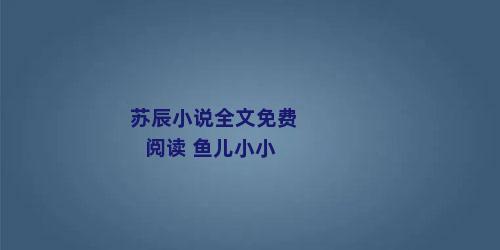 苏辰小说全文免费阅读 鱼儿小小